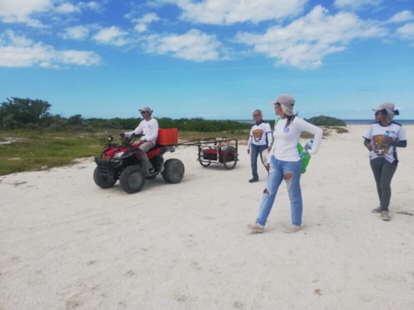 Universitarios reforestan dunas en Yucatán