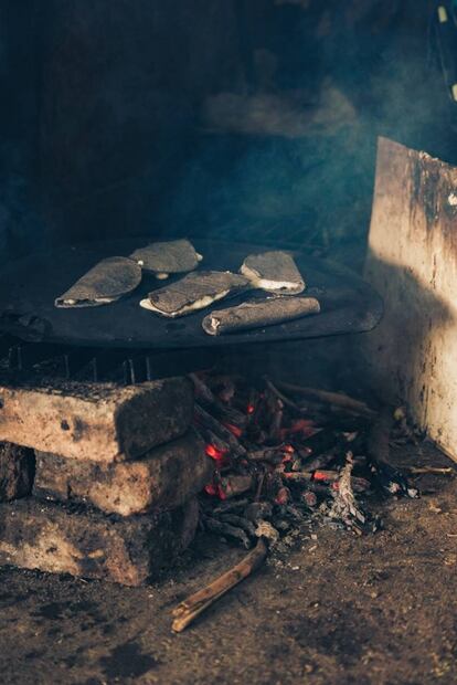 A 500 años de mestizaje, esto es lo que somos (y comemos)