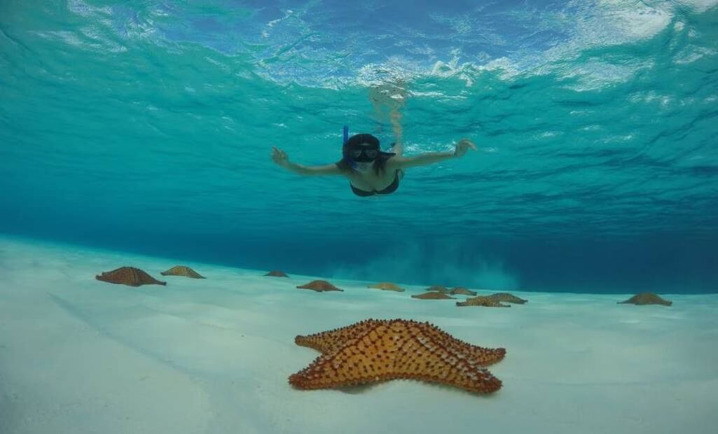 Foto: Consejo de Promoción Turística de Quintana Roo