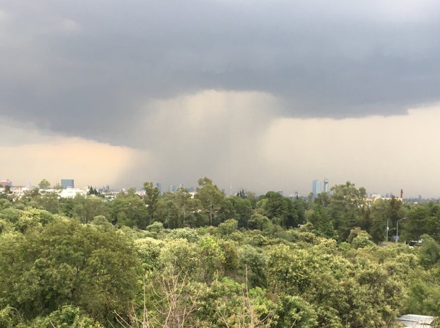 Foto: Twitter @ThisIsNotLux