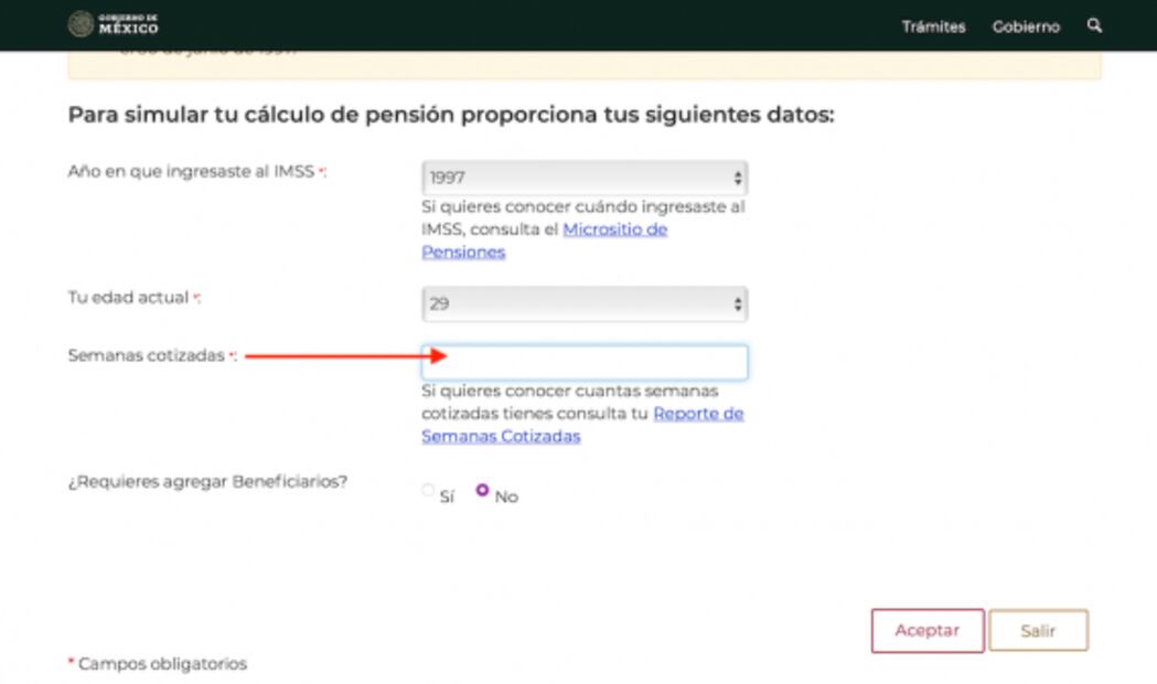 ¿Cómo calcular tu pensión?, este simulador del IMSS te ayuda