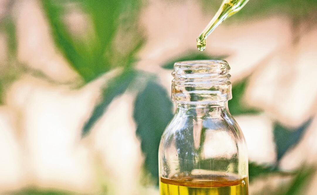 Mexico is set to approve the decriminalization of drugs soon - Photo: Tinnakorn Jorruang/EL UNIVERSAL