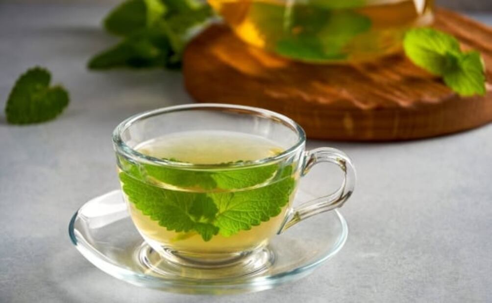 Estos son los múltiples beneficios de tomar infusiones de Toronjil