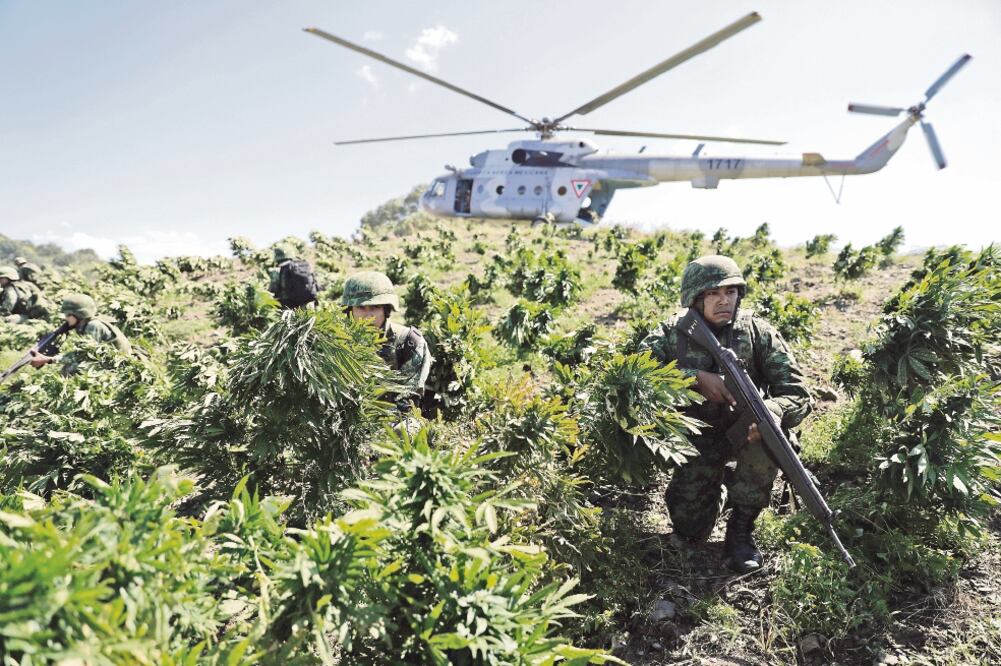 Los militares asignados a la Operación Integral Sinaloa-Durango destruyen hasta 50 plantíos de entre 50 metros cuadrados y hasta media hectárea al día, si las condiciones de seguridad y meteorológicas los favorecen (IVÁN STEPHENS)