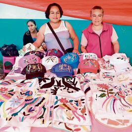 “Reforma no promueve  arte popular”