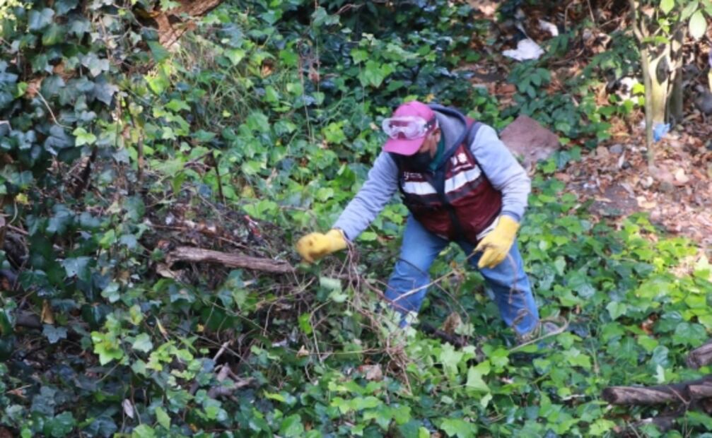 Retiran 32 toneladas de basura de barrancas tras programa de limpieza en CDMX