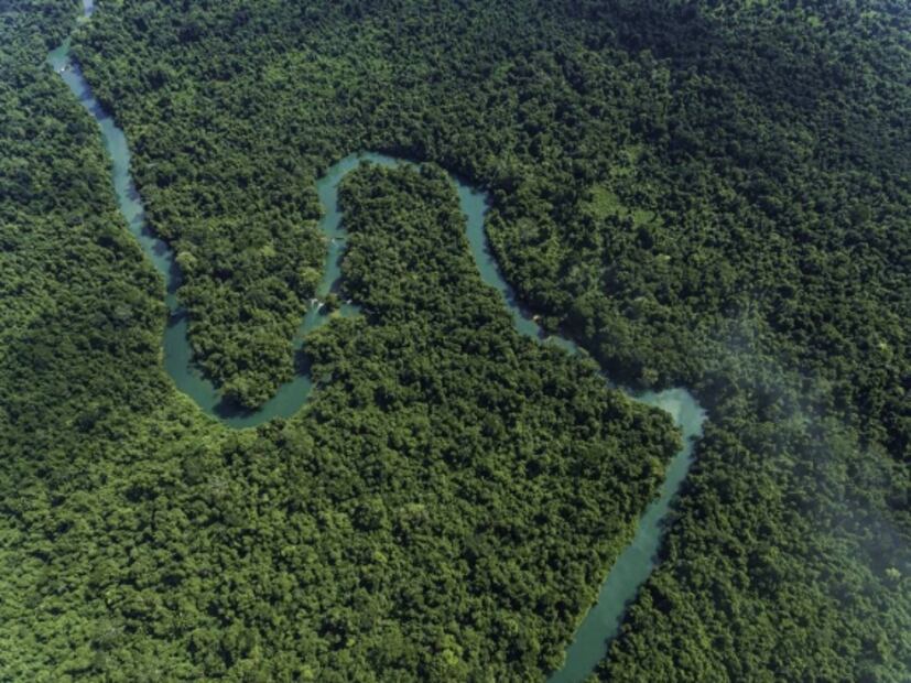 Selección de la editora: 5 paraísos de vida silvestre en México que otros países envidiarían