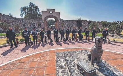 Incorpora Senasica 13 perros para labores de inspección