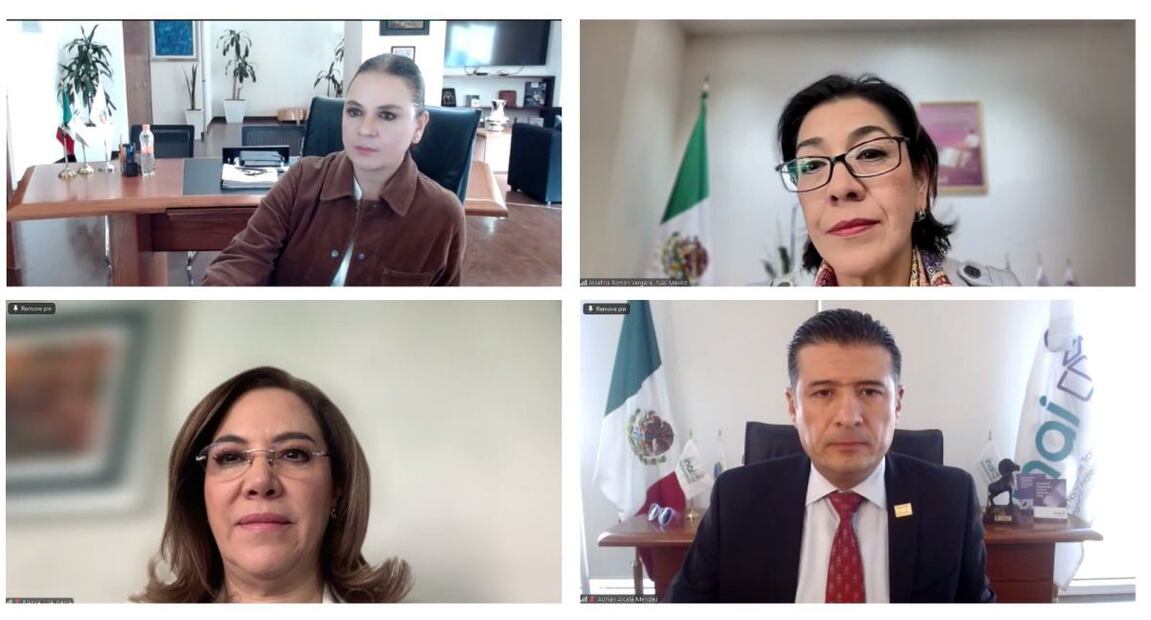 Norma Julieta Venegas del Río votó en contra de la designación de Víctor Manuel Castro Borbón. Foto: X @JulietDelrio