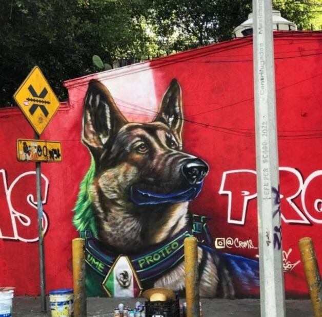 Proteo: Artista mexicano rinde homenaje a perrito rescatista con mural en Tlalnepantla