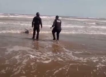 Policía rescata a delfín varado en playas de Matamoros, Tamaulipas