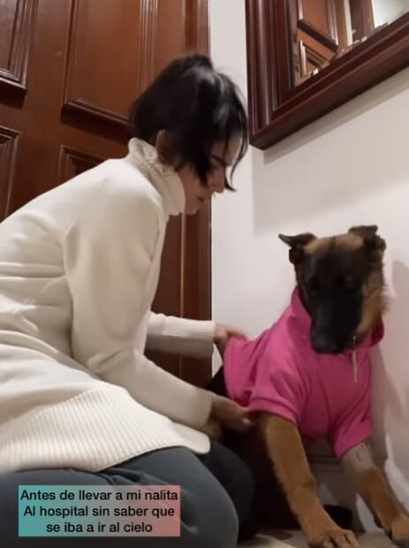 La muerte de una perrita desata la guerra entre Bárbara de Regil y Gala Montes