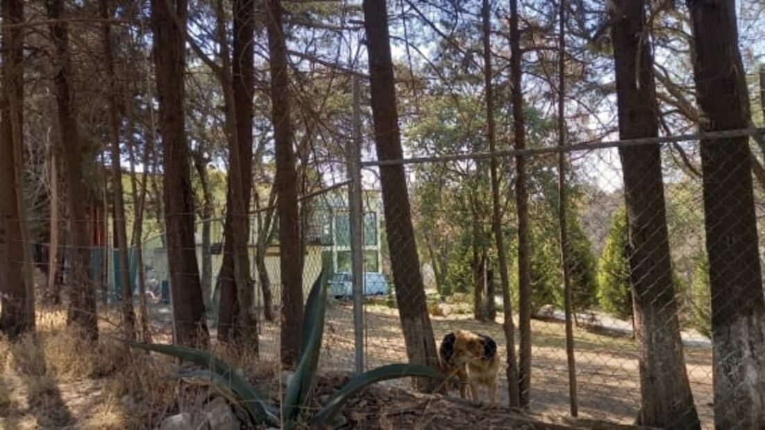 Clausuran rancho en Jilotzingo donde realizaron fiesta clandestina y asesinaron a Hugo, joven de 15 años