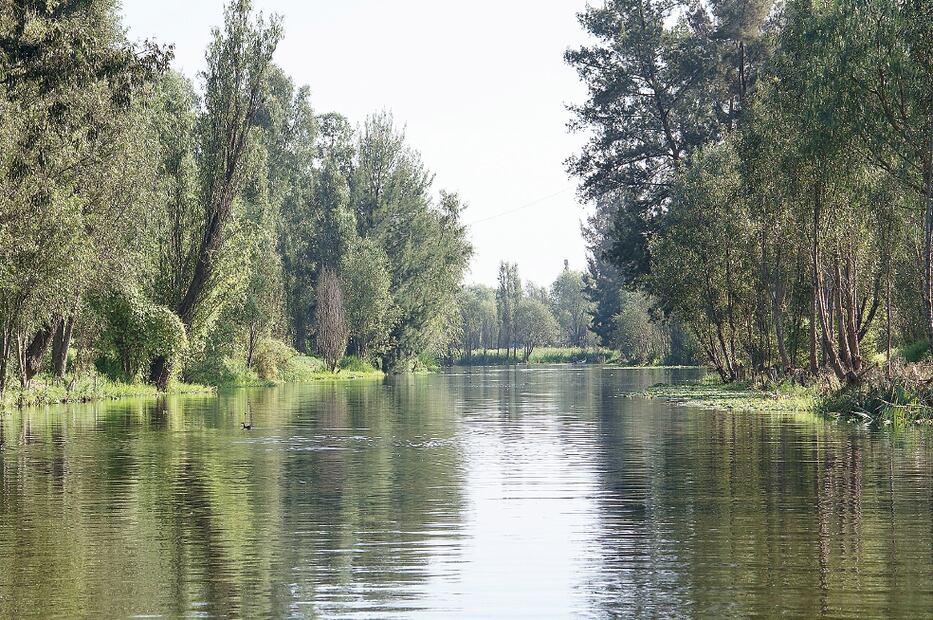 El suelo de conservación en la CDMX. Foto: ARCHIVO/EL UNIVERSAL