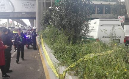 Hallan plantas de marihuana en jardinera de Periférico