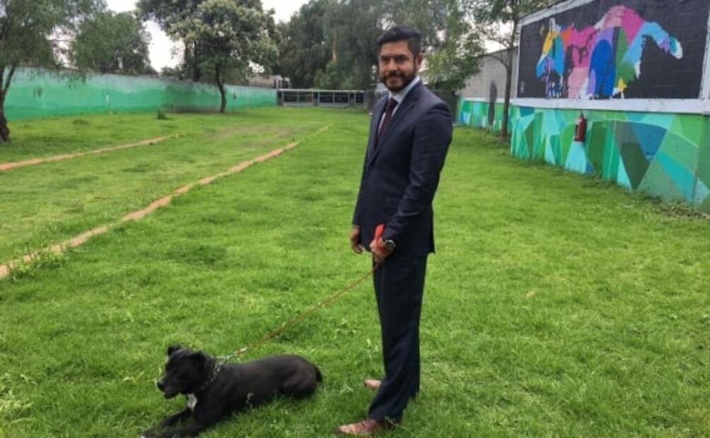 "Lomitos" gozan en el Centro de Transferencia Canina del Metro tras ser rescatados