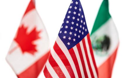 Senado fijará términos base de negociación del T-MEC, asegura Waldo Fernández; anuncia mesas de trabajo con empresarios