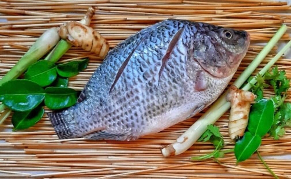 Cuaresma: ¿es peligroso comer pescado crudo?. Foto: Archivo / EL UNIVERSAL