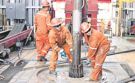 Palinología la ciencia que contribuye a la exploración de carbón y petróleo