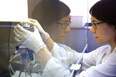 ​¿Sabías que tomas plástico todos los días?