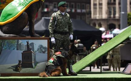 FOTOS: Arkadas, el perro rescatista de Turquía, y binomios caninos roban miradas en el Desfile Militar 2025