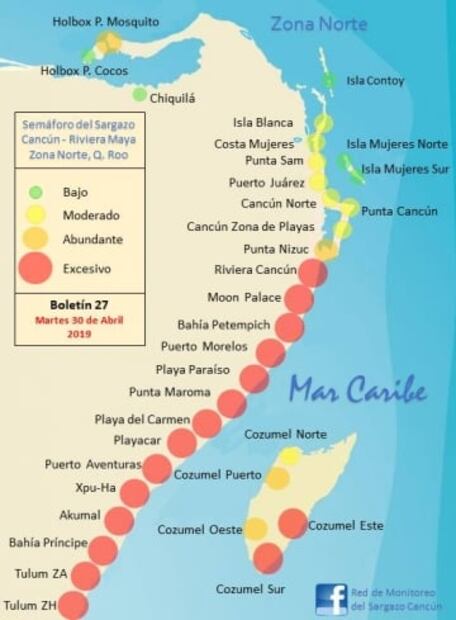 Sargazo, la pesadilla vuelve a Cancún y afecta a otras playas