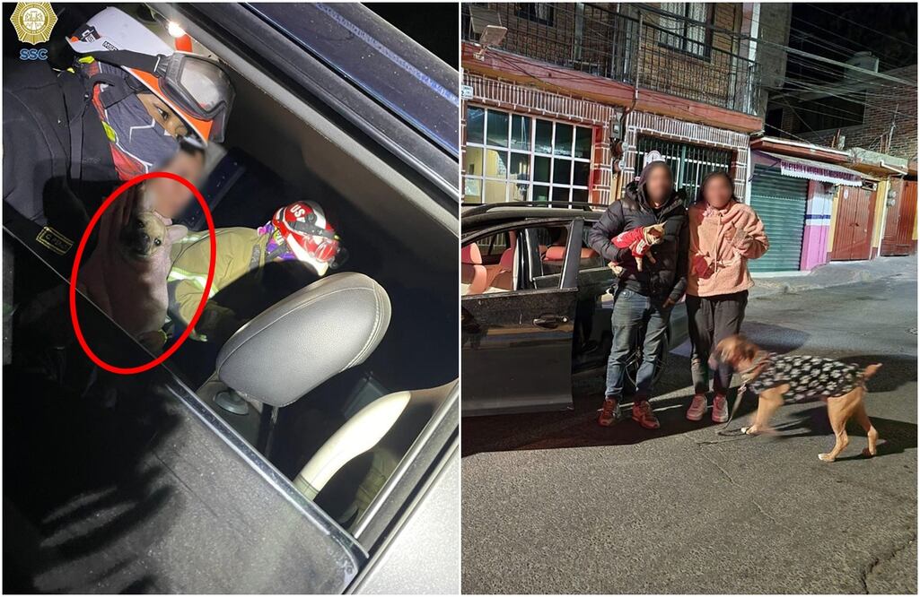 FOTO: Especial/ EL UNIVERSAL/