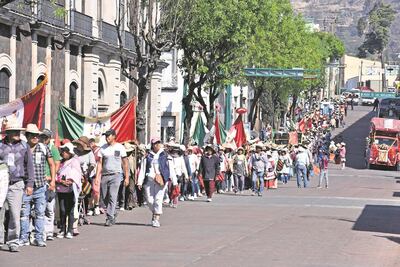 Rescatan a 29 perros abandonados durante peregrinación