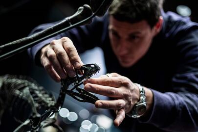 Antes del ser humano, fueron los dinosaurios los precursores del cambio climático 