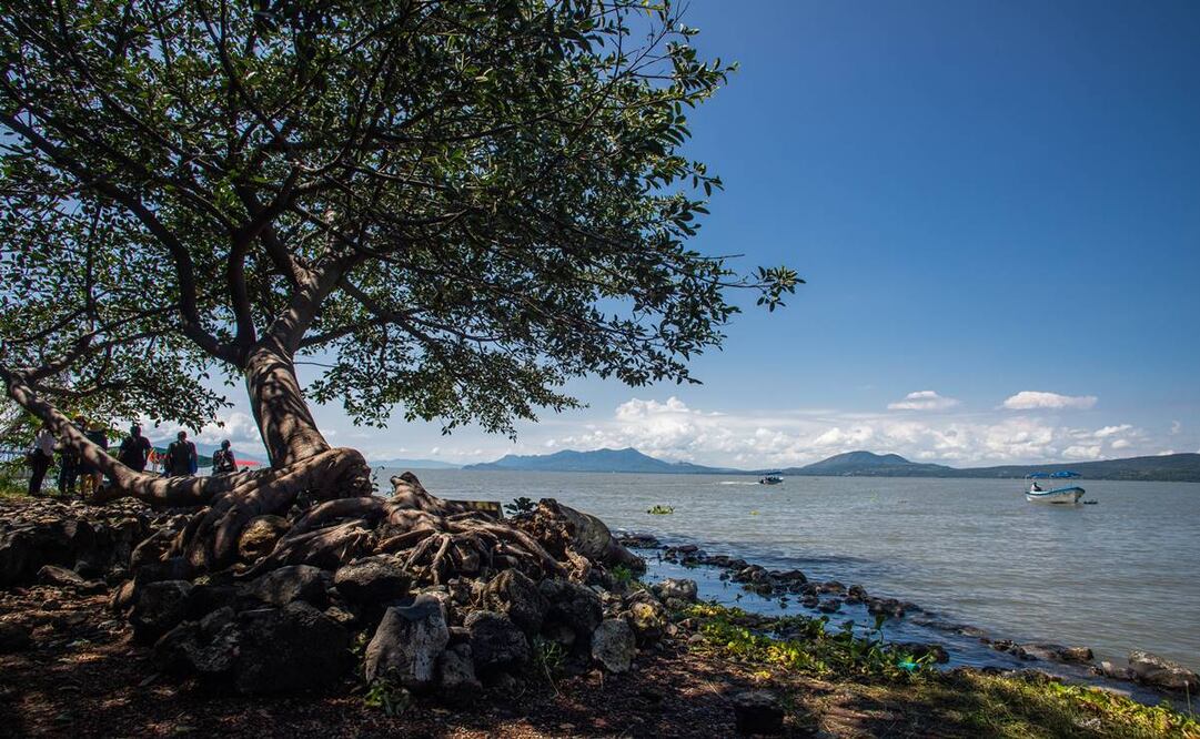 Foto: Roberto Antillón 