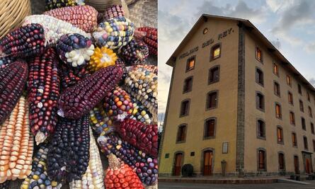 Fallido, el museo del maíz según Avelina Lésper