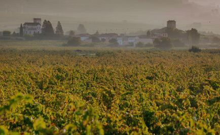Los nuevos lenguajes del cava