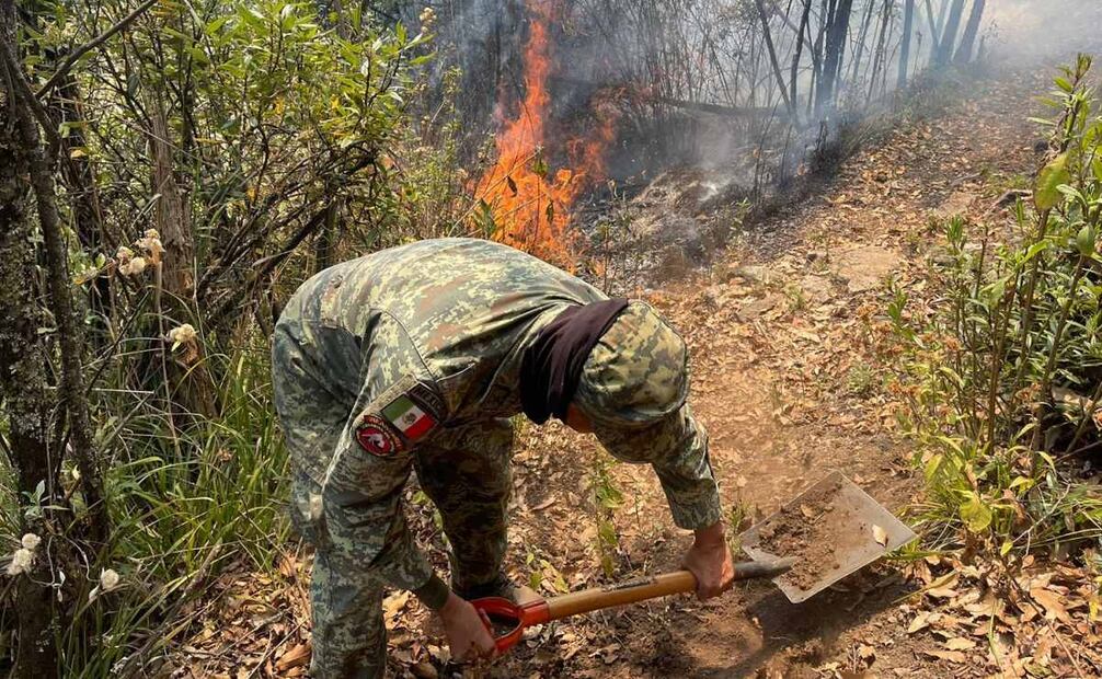 En los trabajos para controlar este incendio forestal laboran cerca de 60 brigadistas. Foto: Especial