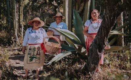  Xincoyote relleno de escamoles, la receta ganadora del concurso A qué sabe la Patria
