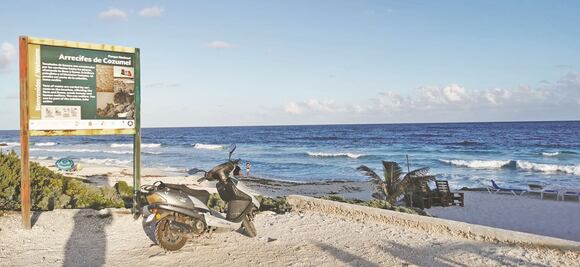 Detectan “cáncer” de coral caribeño