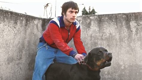 "Amores Perros" vuelve a "ladrar" y ahora para el Día Nacional del Cine Mexicano