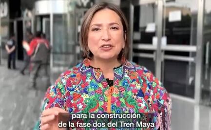 Xóchitl Gálvez denuncia ante FGR tala de 20 mil árboles por obras del Tren Maya
