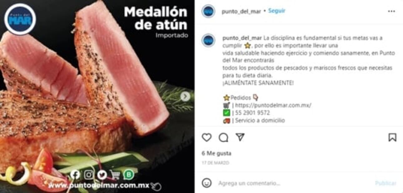 ¿Dónde comprar atún fresco y elegir el mejor?