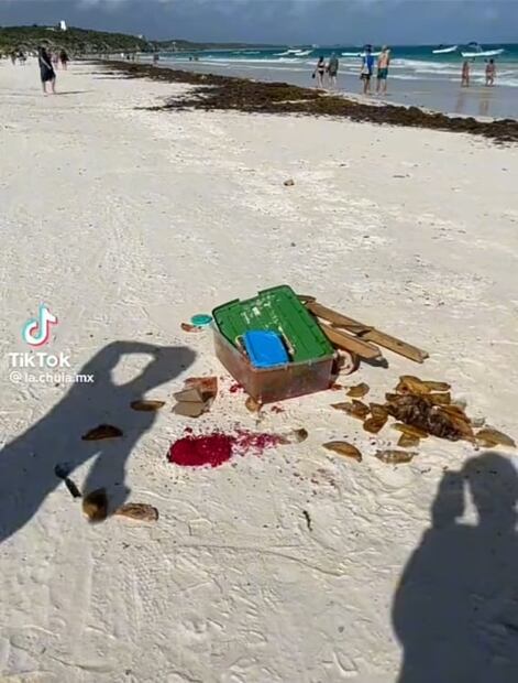 TikTok: Estafa a turista en Tulum, le cobran 500 pesos por empanada y así reacciona