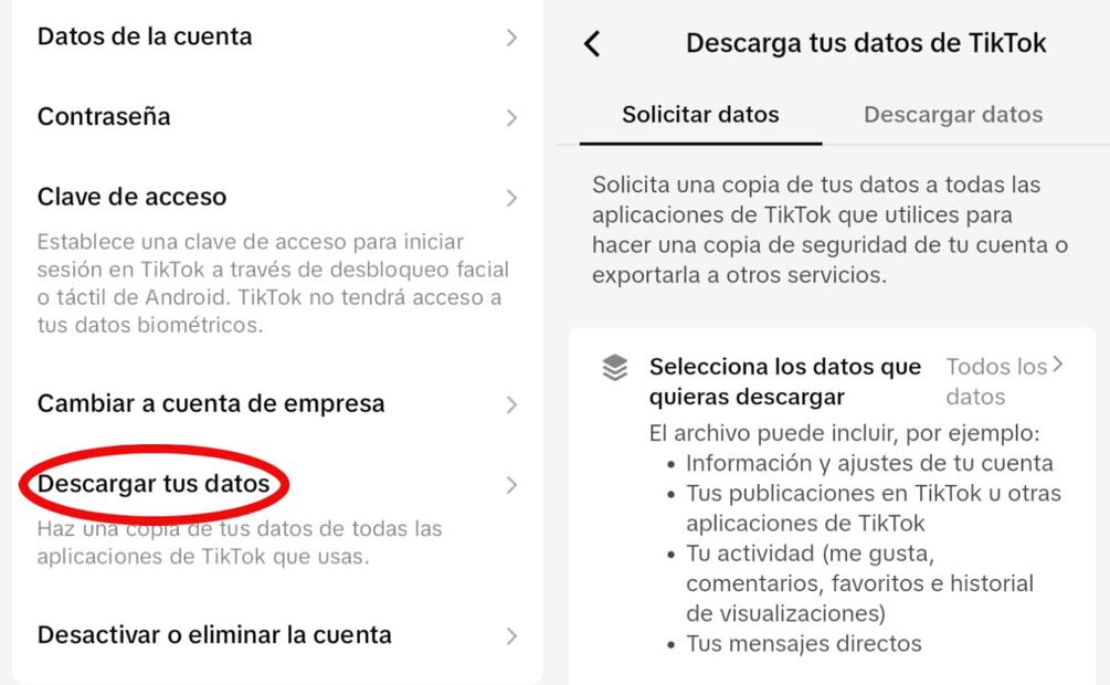 Descargar videos de TikTok. Imagen: captura de pantalla