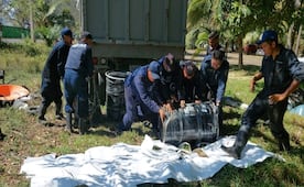 Limpian playas de Veracruz por hidrocarburo; recolectan 8 toneladas en el norte del estado