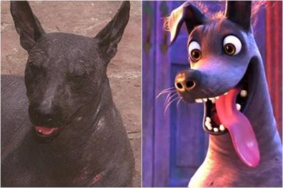 El Xochimilco que inspiró "Coco"