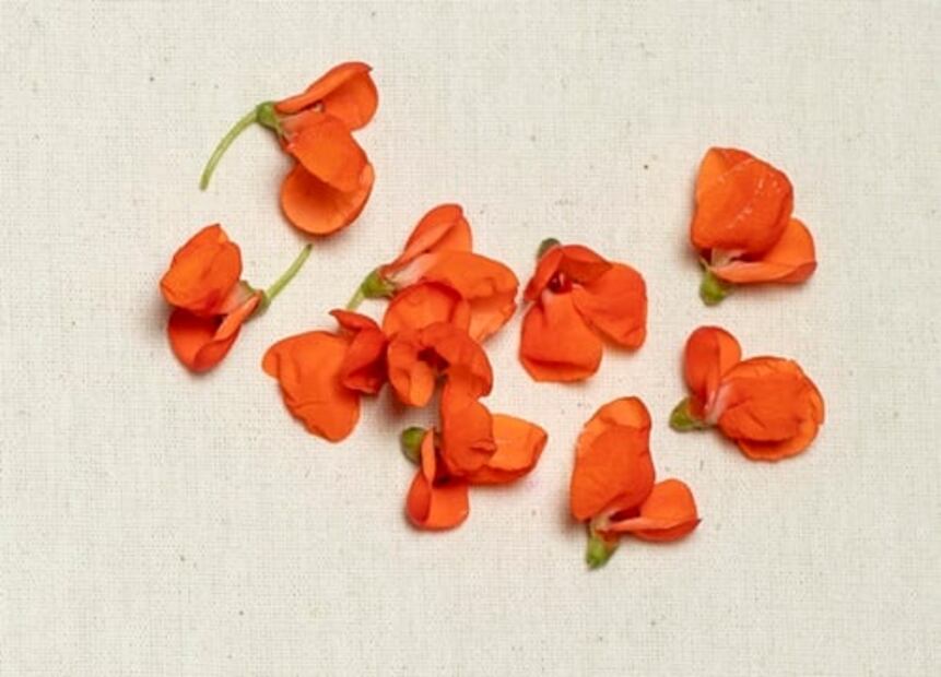 A esto saben las flores y los brotes cuando cocinas con ellos