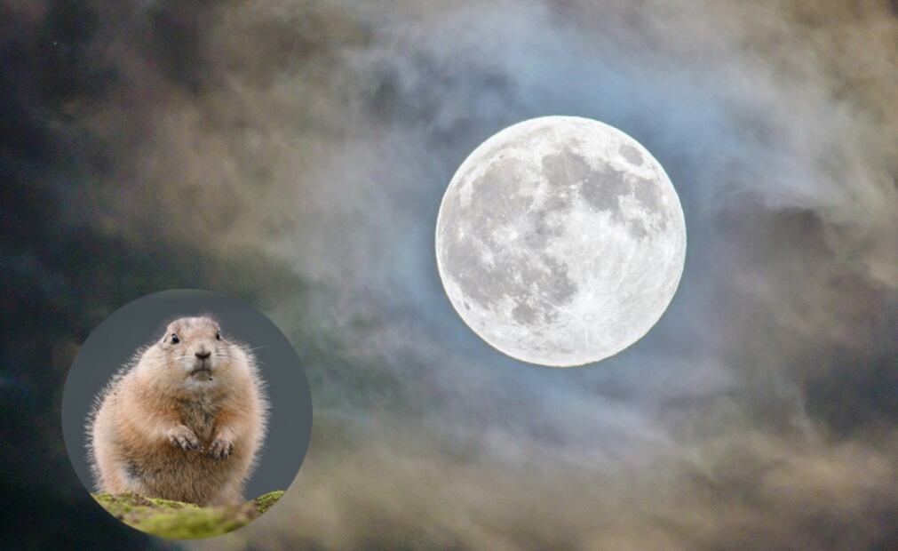 Te contamos acerca del origen del particular nombre que lleva la luna llena de noviembre. Fotos: Pexels