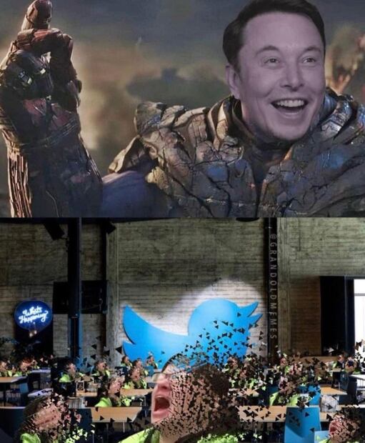 De Elon Musk como nuevo director de Twitter a la derrota del Toluca y la supuesta cara de Adán: estos son los mejores memes de la semana