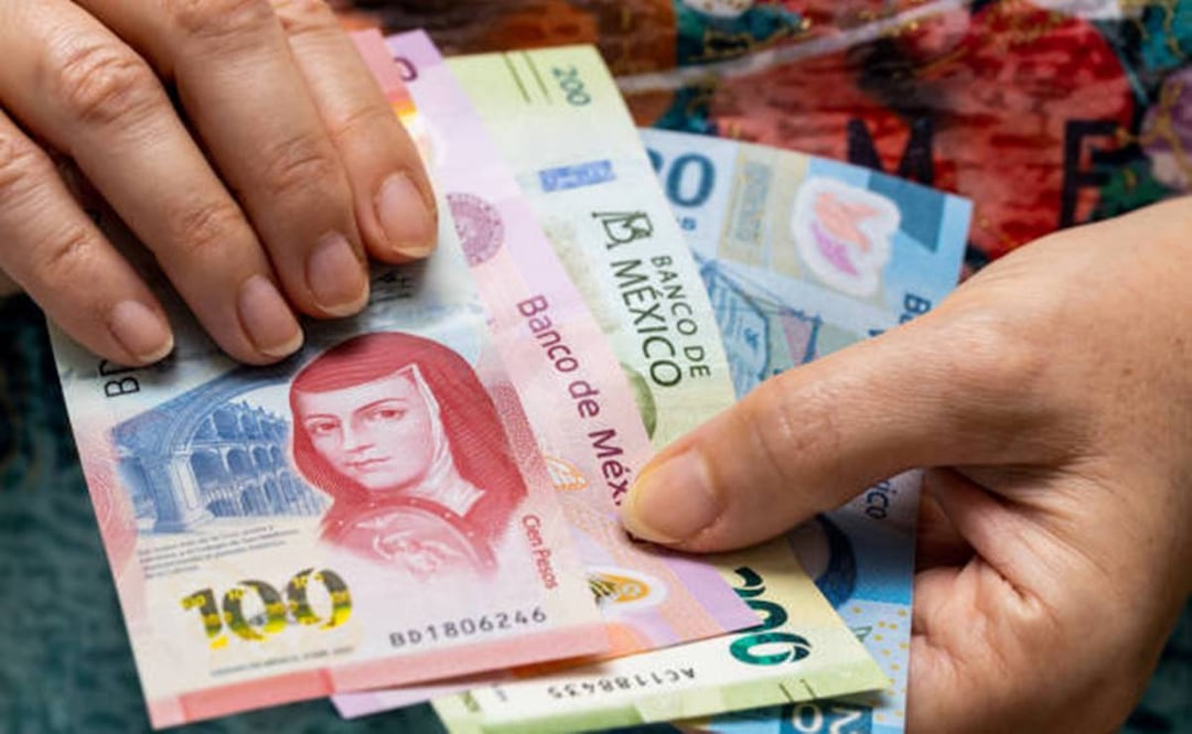 La Amafore dijo que concluyó con la transferencia de recursos existentes en las cuentas que se encontraban en los supuestos para ser depositados en el Fondo de Pensiones para el Bienestar. Foto: Pixabay