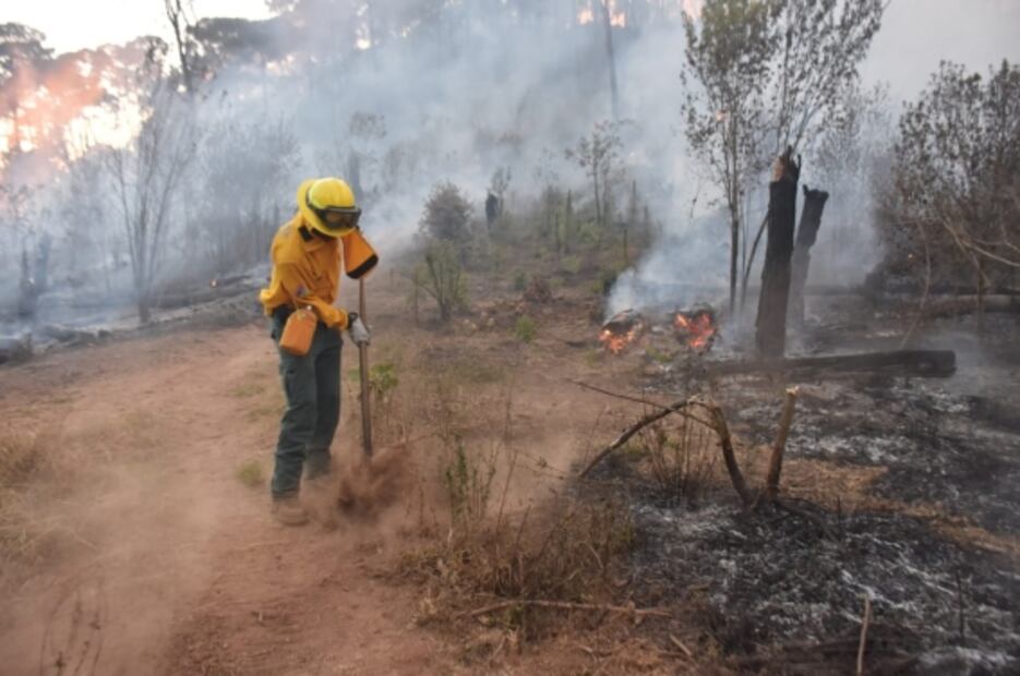Controlan incendio en parque estatal de Valle de Bravo tras 24 horas de su inicio; hay 30 hectáreas afectadas 