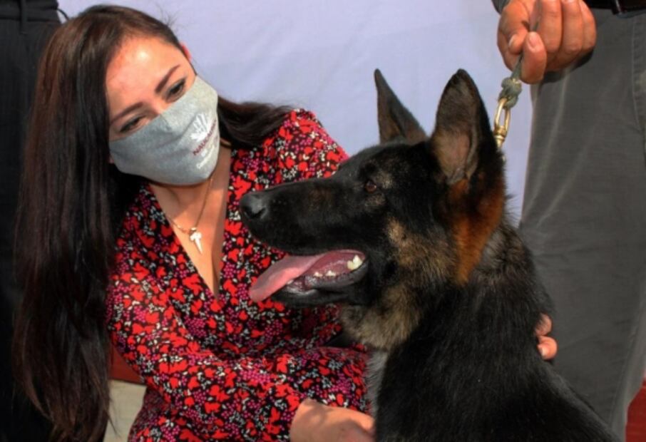 Desde perros de búsqueda hasta un dron, el equipo de Naucalpan contra la violencia de género