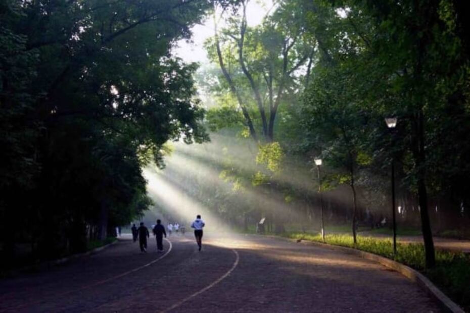 Serpientes y escaleras, la nueva ruta para bicis en Chapultepec