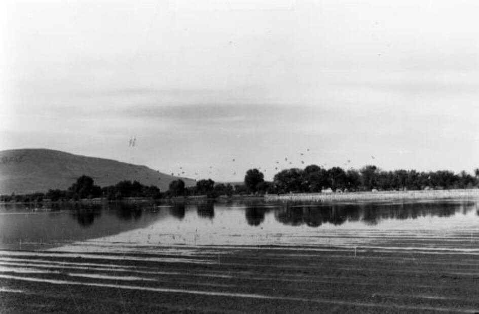 Lago de Texcoco: De pulmón a desierto de sal